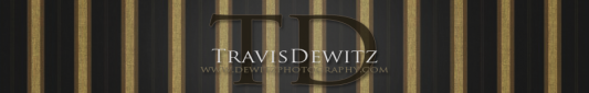 Dewitz Photography | Eau Claire, WI Portrait Photographer logo