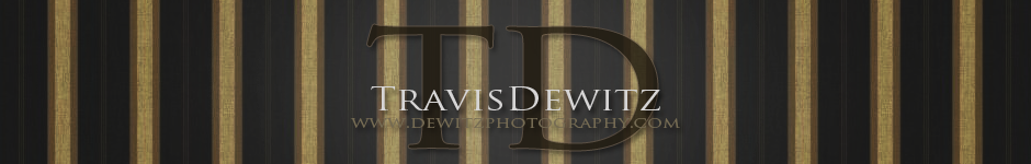 Dewitz Photography | Eau Claire, WI Portrait Photographer logo