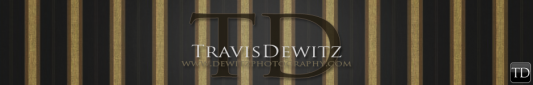 Dewitz Photography | Eau Claire, WI Portrait Photographer logo