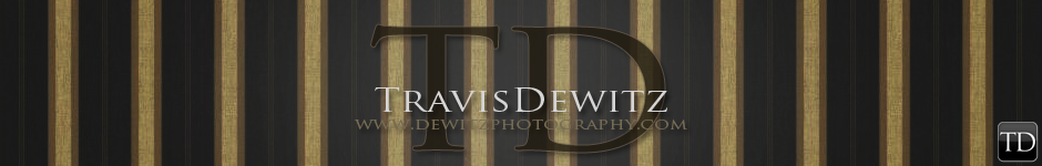 Dewitz Photography | Eau Claire, WI Portrait Photographer logo