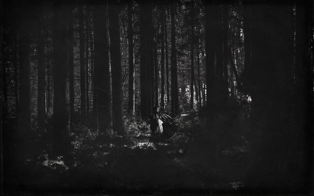 Red Riding Hood Running Through Black Forest