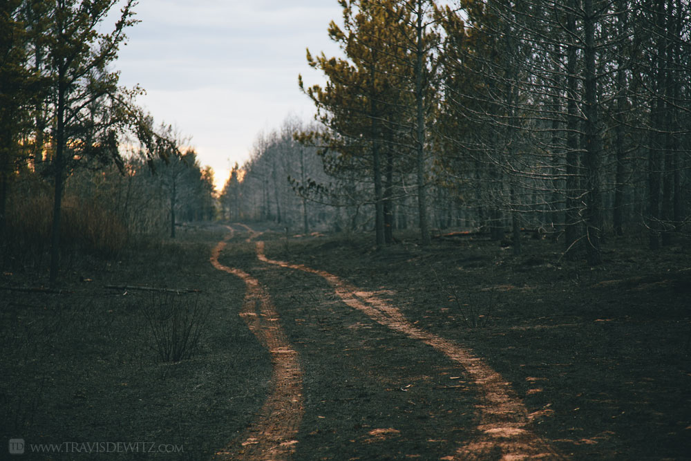 Artistic Photography Series From the Germann Road Forest Fire