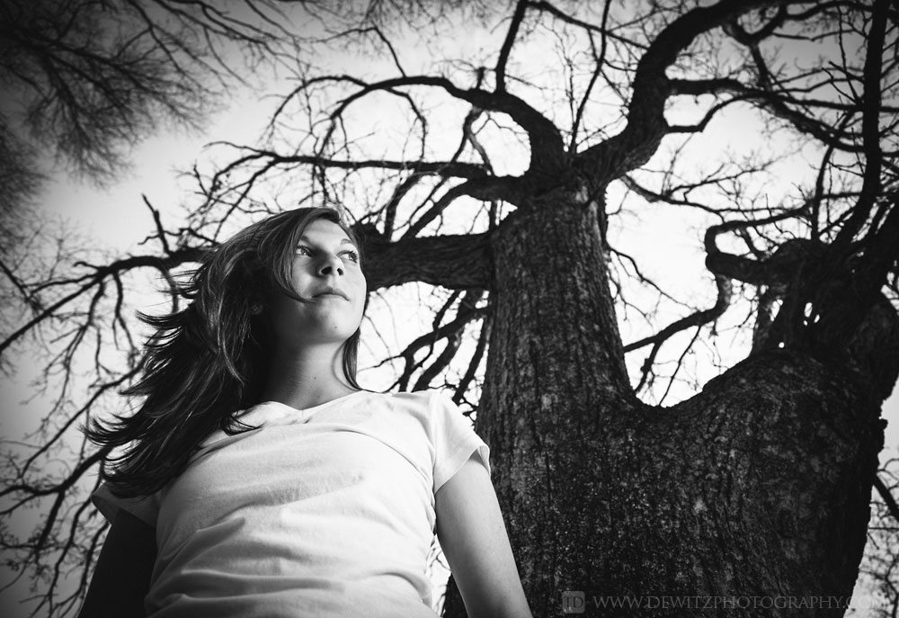 alexa_eerie_tree_portrait_looking_up