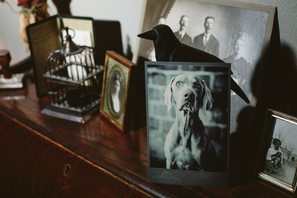 Dewitz Photography Cabinet Card Dog Displayed on Wood Cabinet