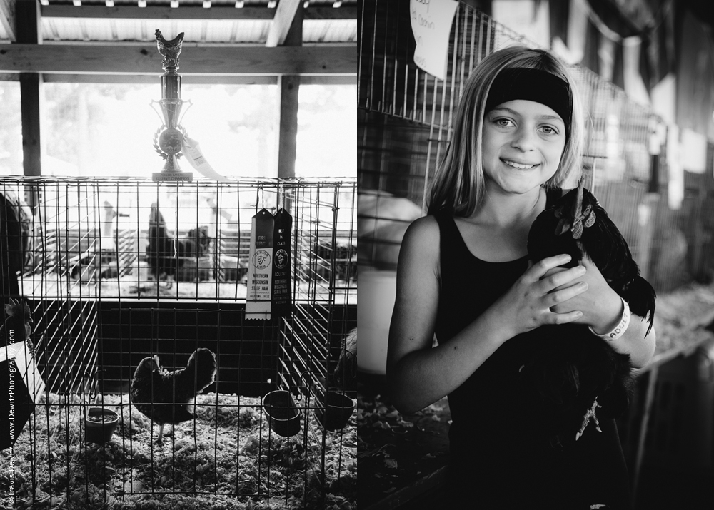 Northern Wisconsin State Fair Award Winning Poultry