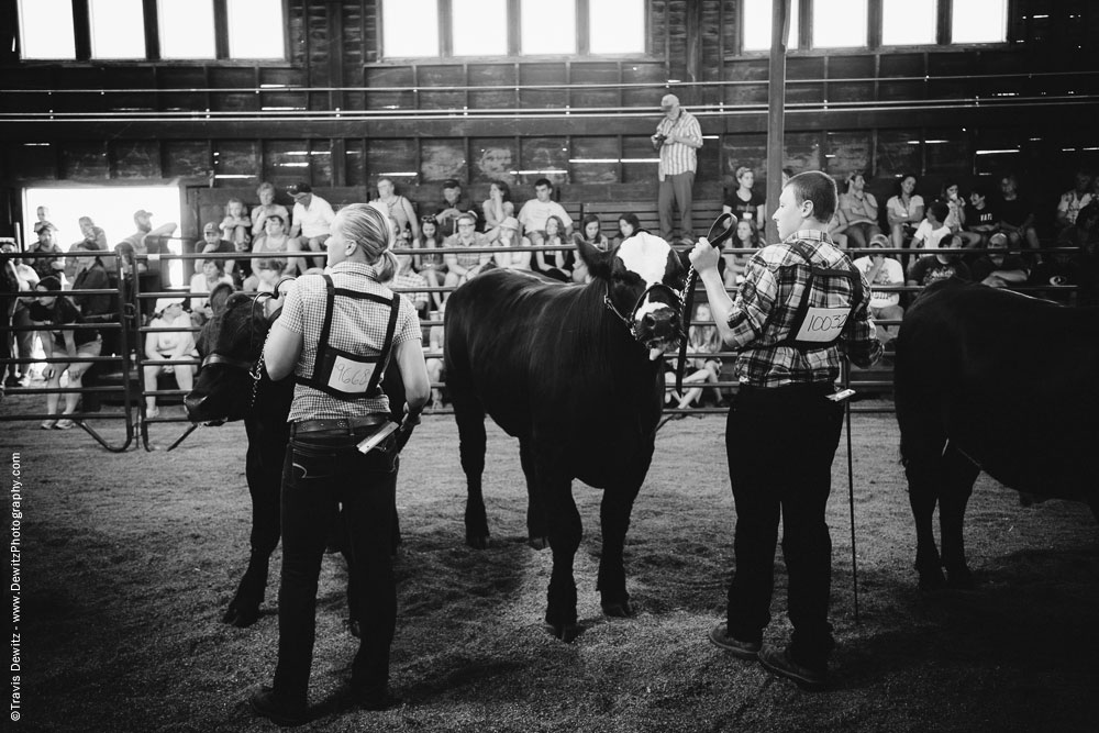 Northern Wisconsin State Fair Boy and Girl Showing Cattle