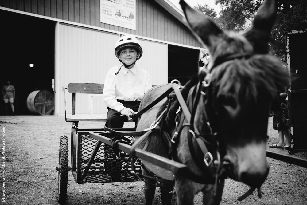 Northern Wisconsin State Fair Boy in Cart Pulled by Donkey