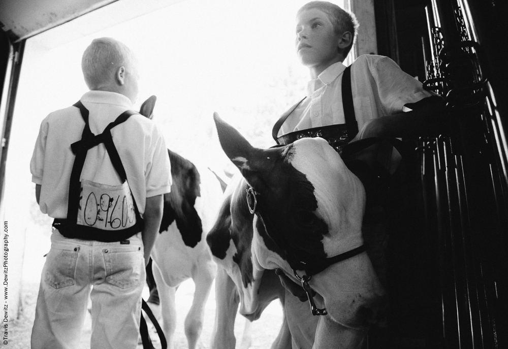 Northern Wisconsin State Fair Boys with Calves