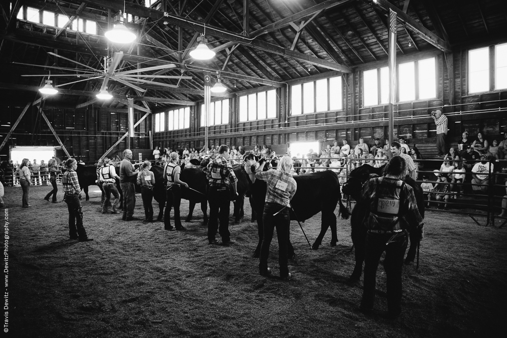 Northern Wisconsin State Fair Cattle Show