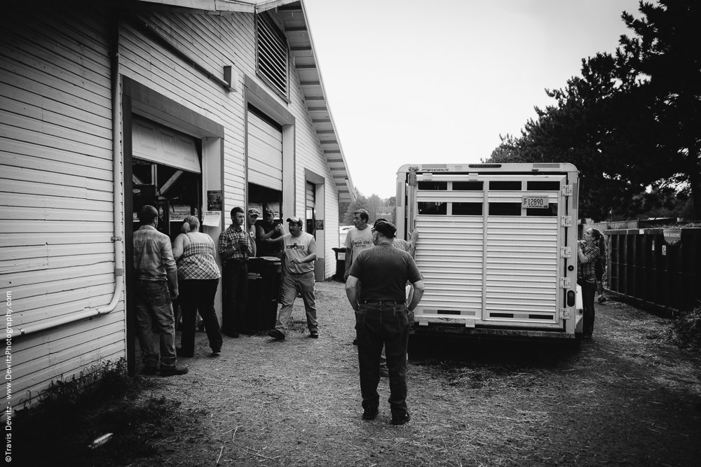 Northern Wisconsin State Fair Cattle Truck Leaving to Meat Processor