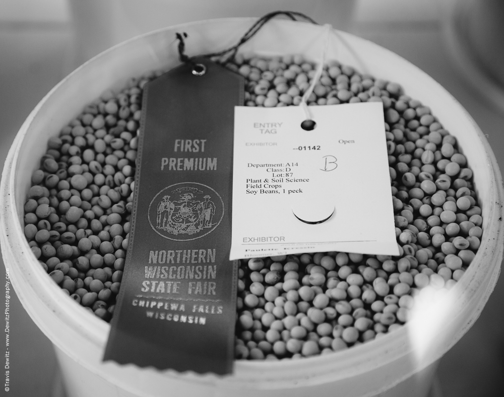 Northern Wisconsin State Fair Chippewa Falls First Premium Ribbon Seeds