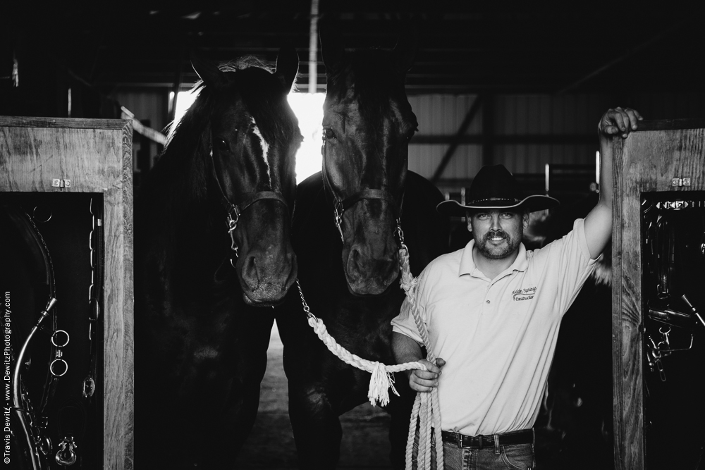 Northern Wisconsin State Fair Cowboy With Two Black Draft Horses