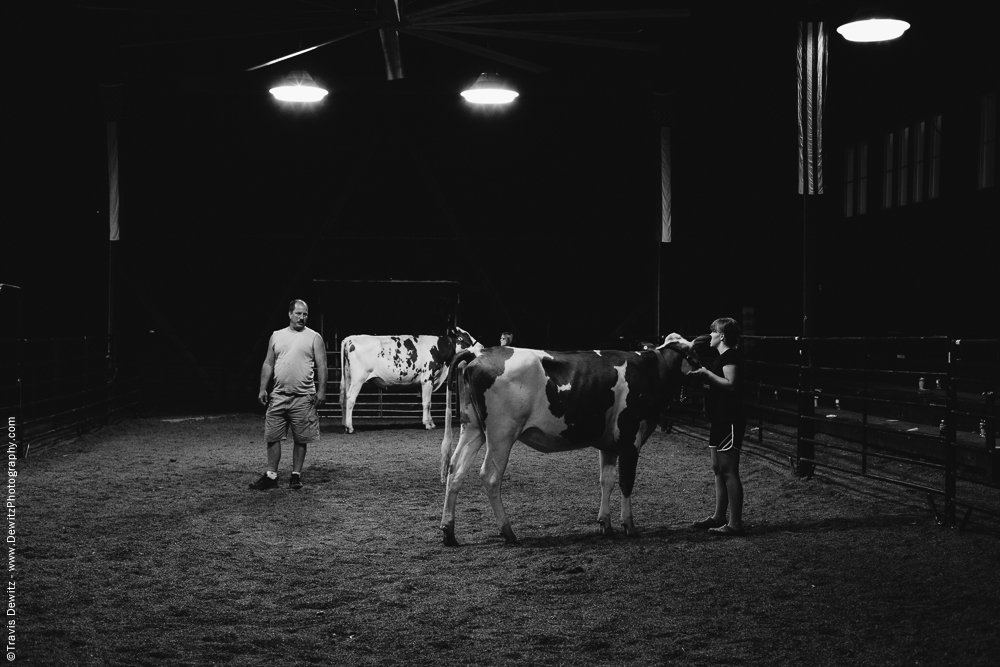 Northern Wisconsin State Fair Dad Teaching Daughter in Cattle Ring