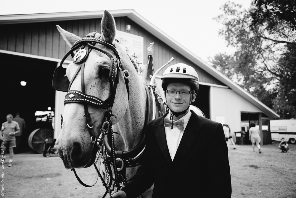 Northern Wisconsin State Fair Draft Horse Portrait