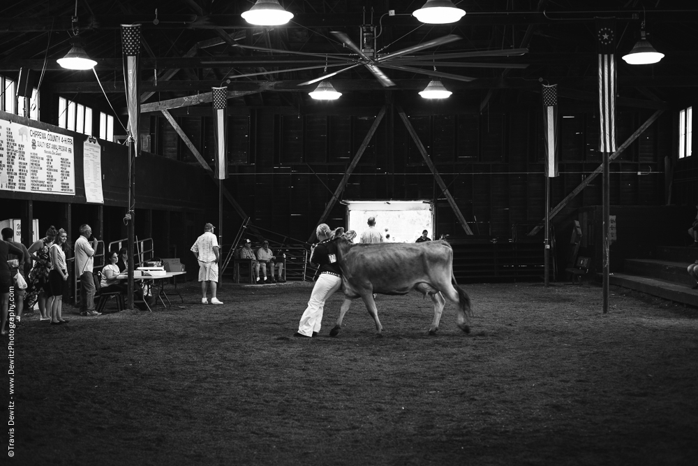 Northern Wisconsin State Fair Girl Holding Cow Back