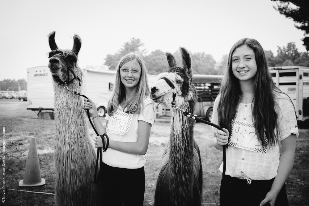 Northern Wisconsin State Fair Girls With Their Lamas