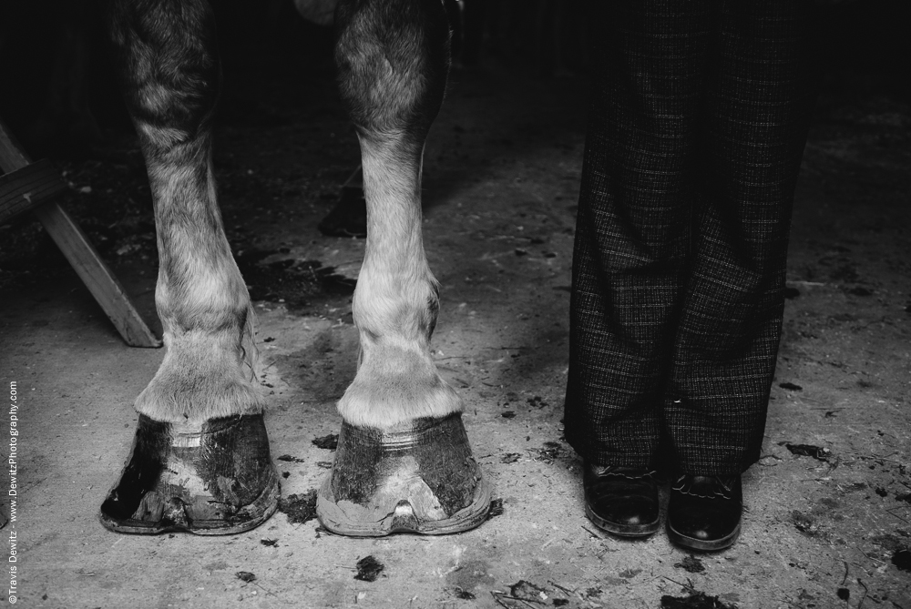 Northern Wisconsin State Fair Hoof vs Feet Size