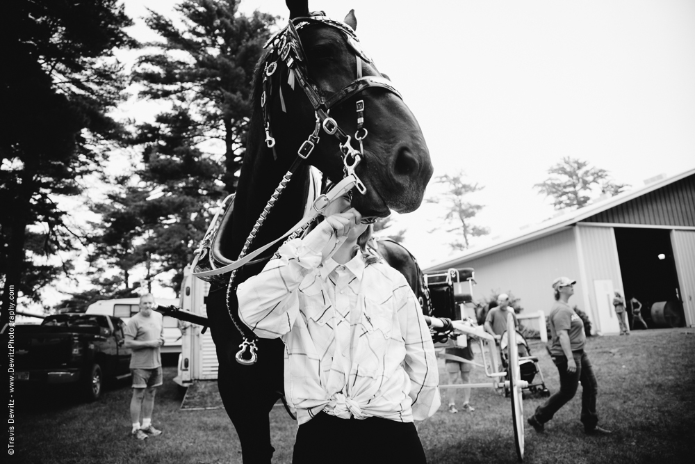 Northern Wisconsin State Fair Horse Showing Off