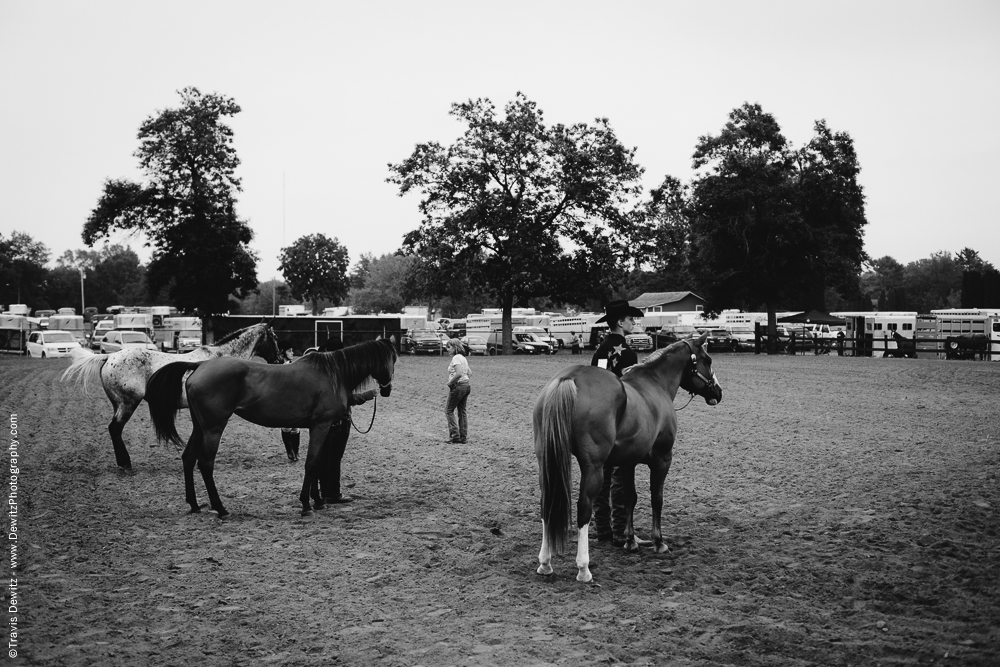 Northern Wisconsin State Fair Horses in Arena