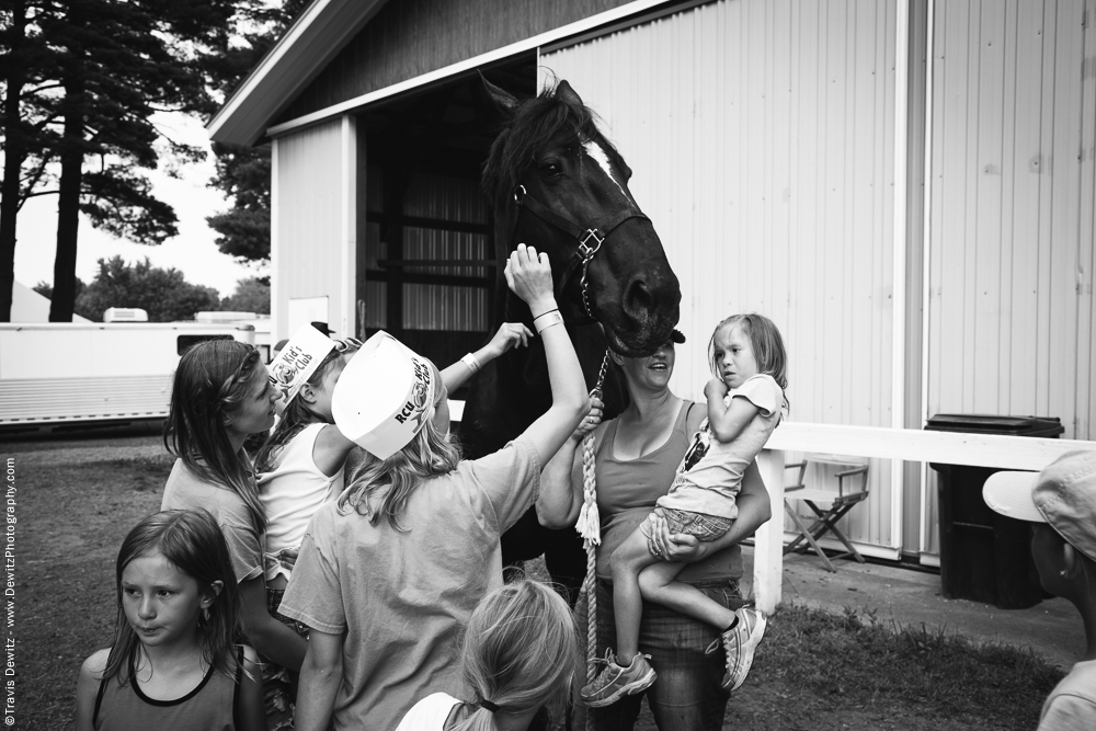 Northern Wisconsin State Fair Kids Petting Draft Horse