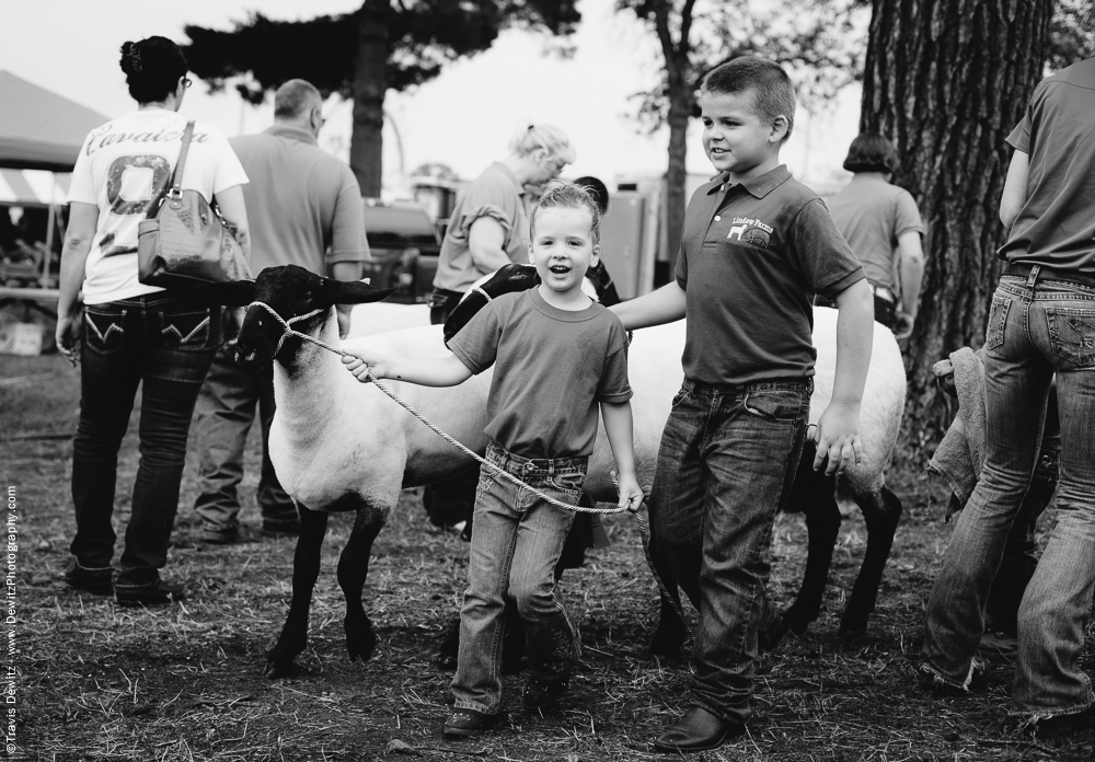 Northern Wisconsin State Fair Kids Showing Sheep