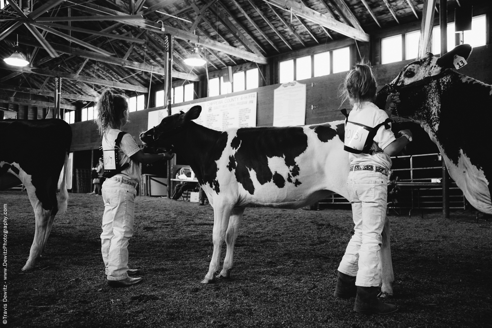 Northern Wisconsin State Fair Little Girls with Calves