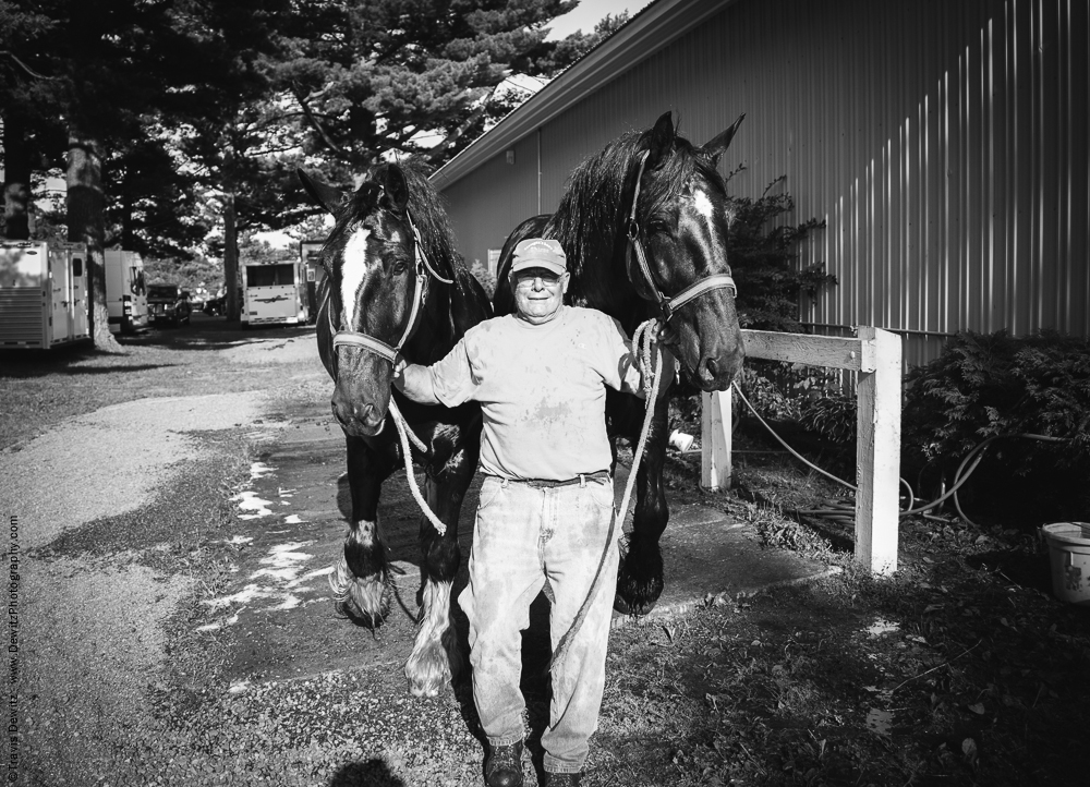 Northern Wisconsin State Fair Man Walking Two Big Draft Horses