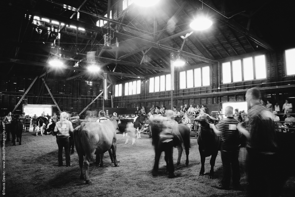 Northern Wisconsin State Fair Motion at the Cattle Show