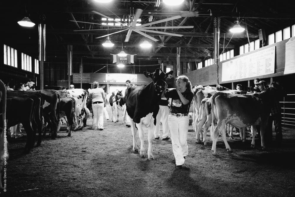 Northern Wisconsin State Fair Showing Dairy