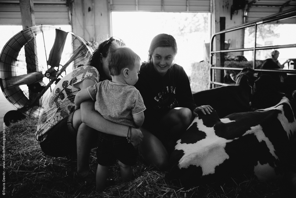 Northern Wisconsin State Fair Showing Little Boy the Cow