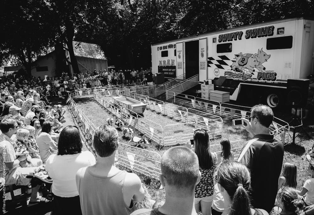 Northern Wisconsin State Fair Swifty Swine Pig Races