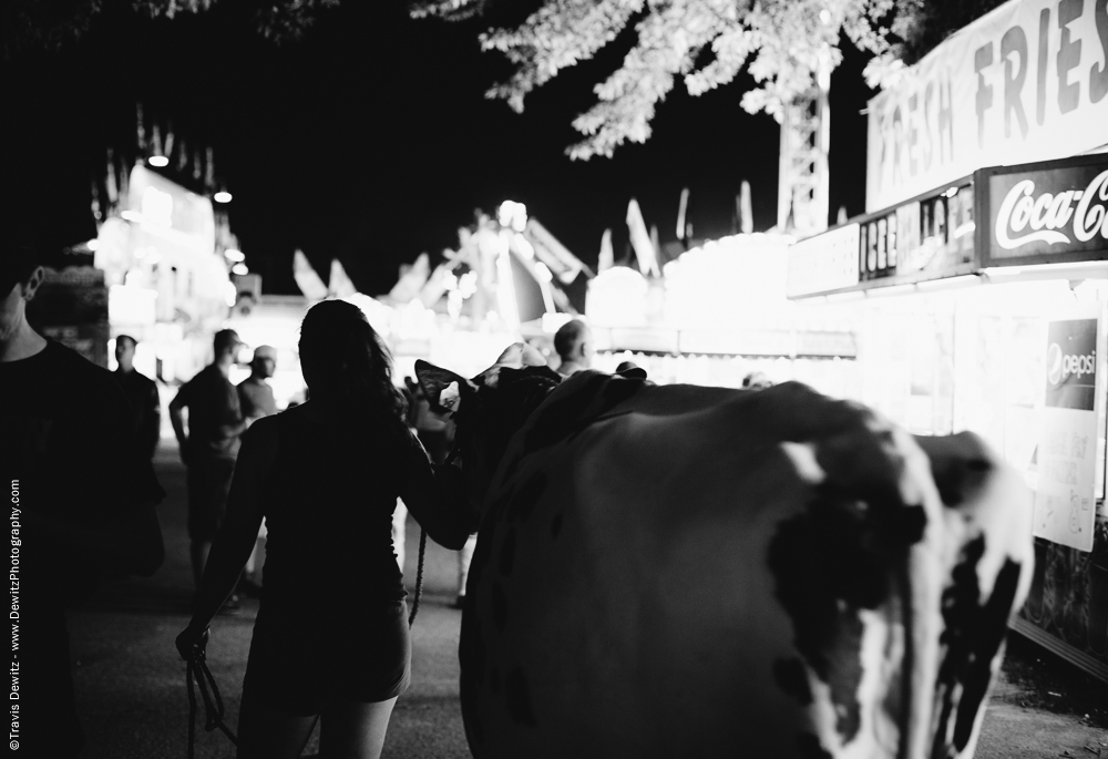 Northern Wisconsin State Fair Walking Cow Down Midway