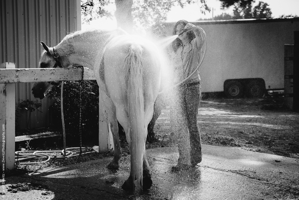 Northern Wisconsin State Fair Washing Horses