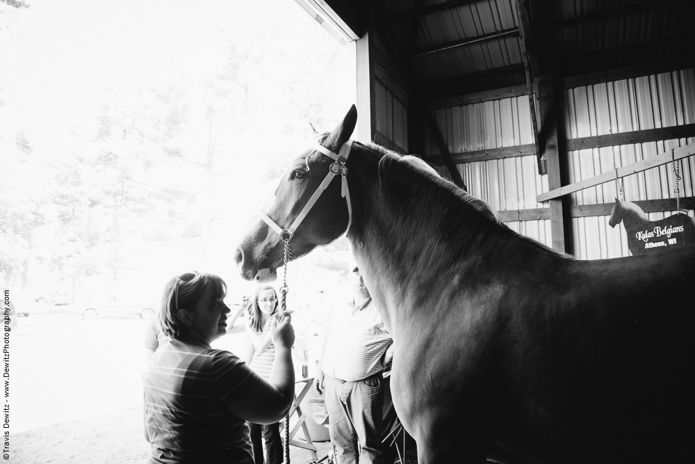 Northern Wisconsin State Fair Woman and Her Horse