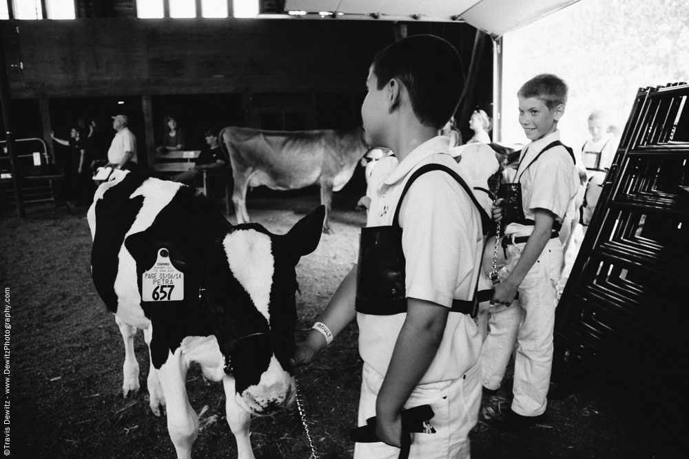 Northern Wisconsin State Fair Young Boys Showing Calves