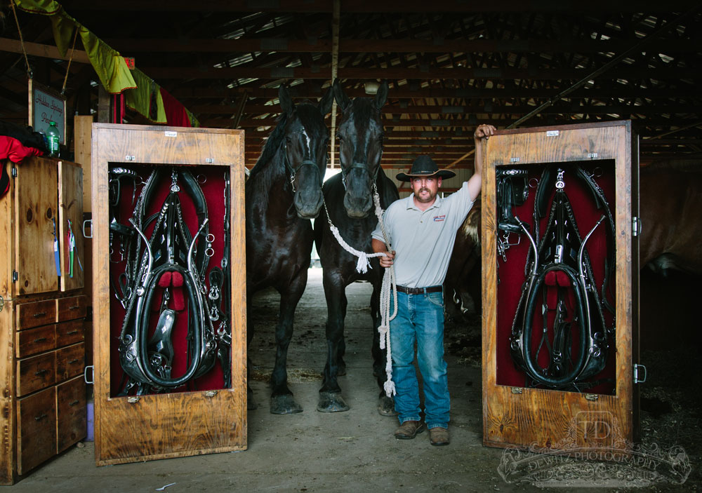 nwsf_guy_with_draft_horses_web