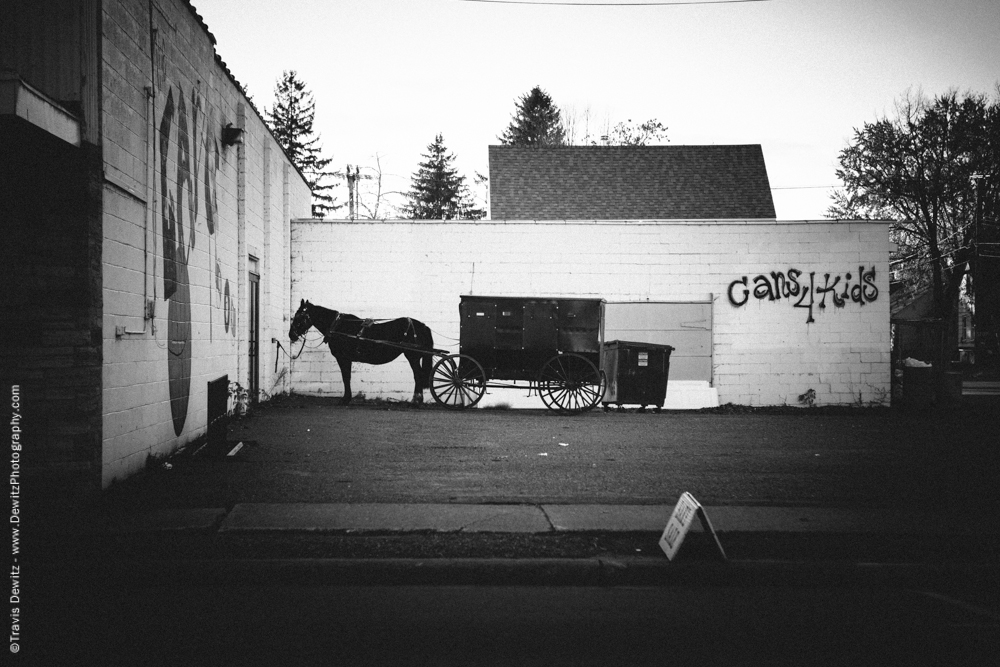 Amish Buggy and Horse