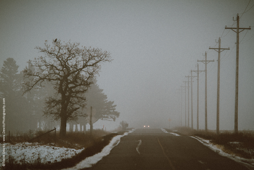 Eerie Tree Along Lonely Foggy Road