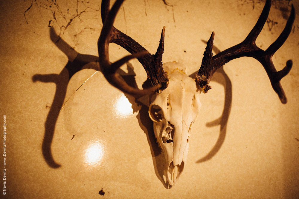 Skull on Wall