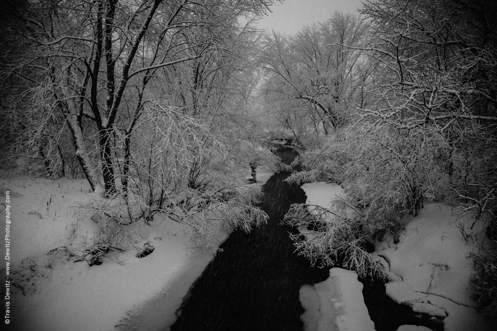 Snowy Creek