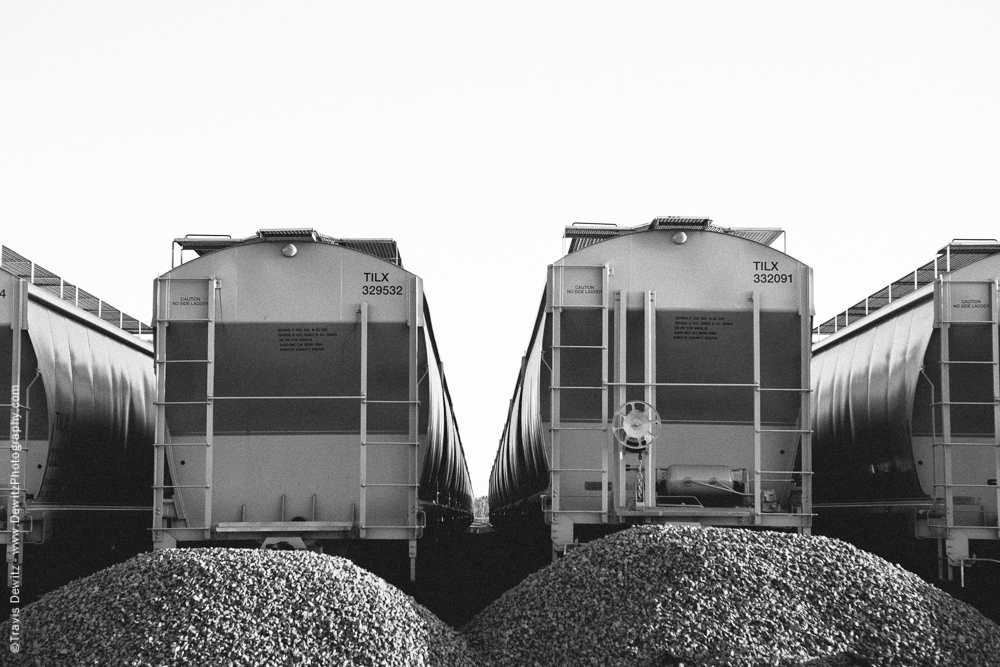 Sand Hoppers Waiting at Great Northern