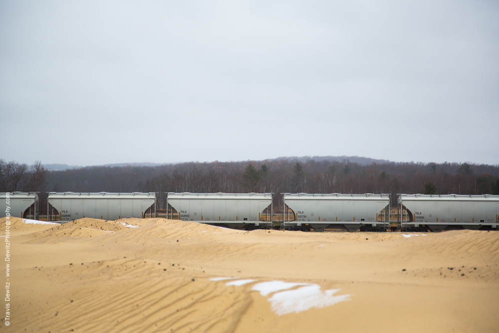 String of Sand Hoppers