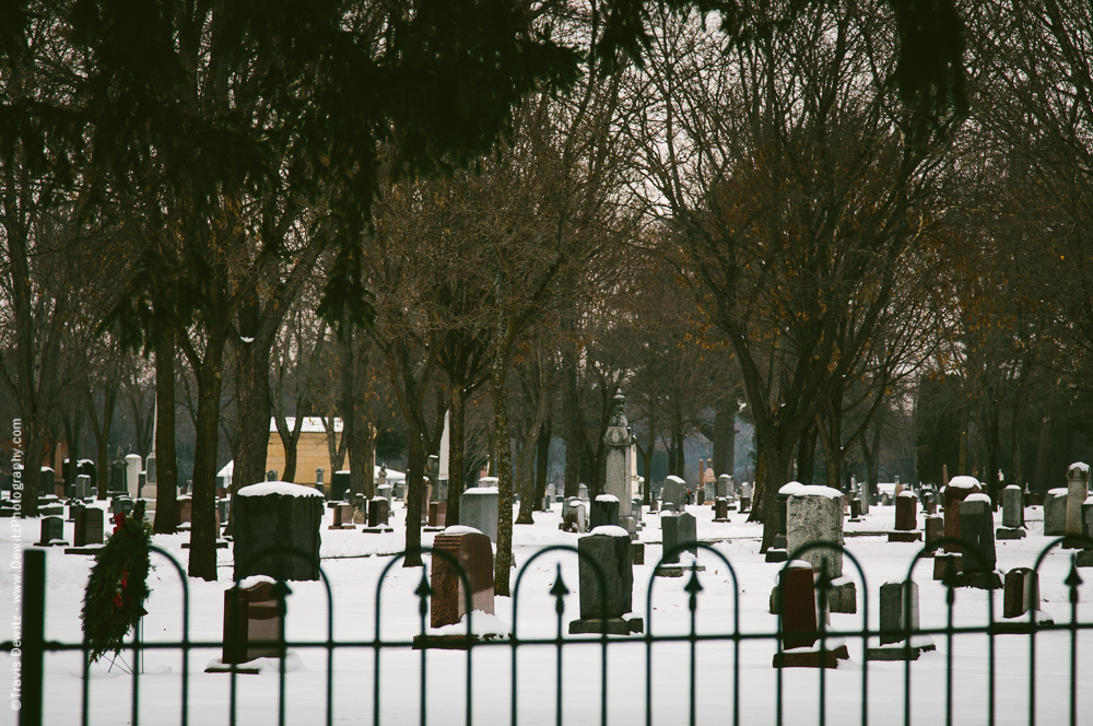  Forest Hill Cemetery