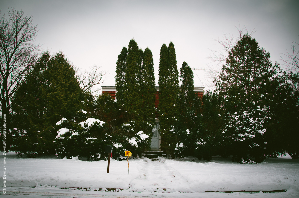 Chippewa Falls- House Buried By Shrubs