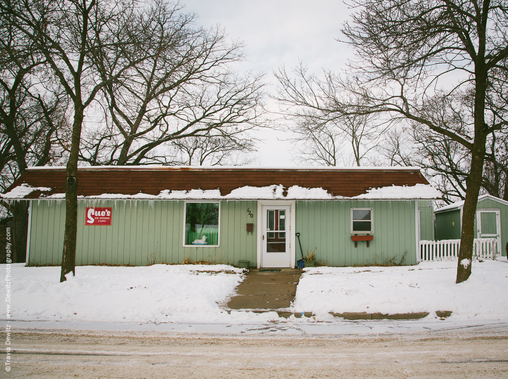 Chippewa Falls- Sues Dog Grooming