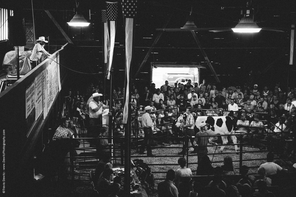 Northern Wisconsin State Fair Cattle Auction-7504