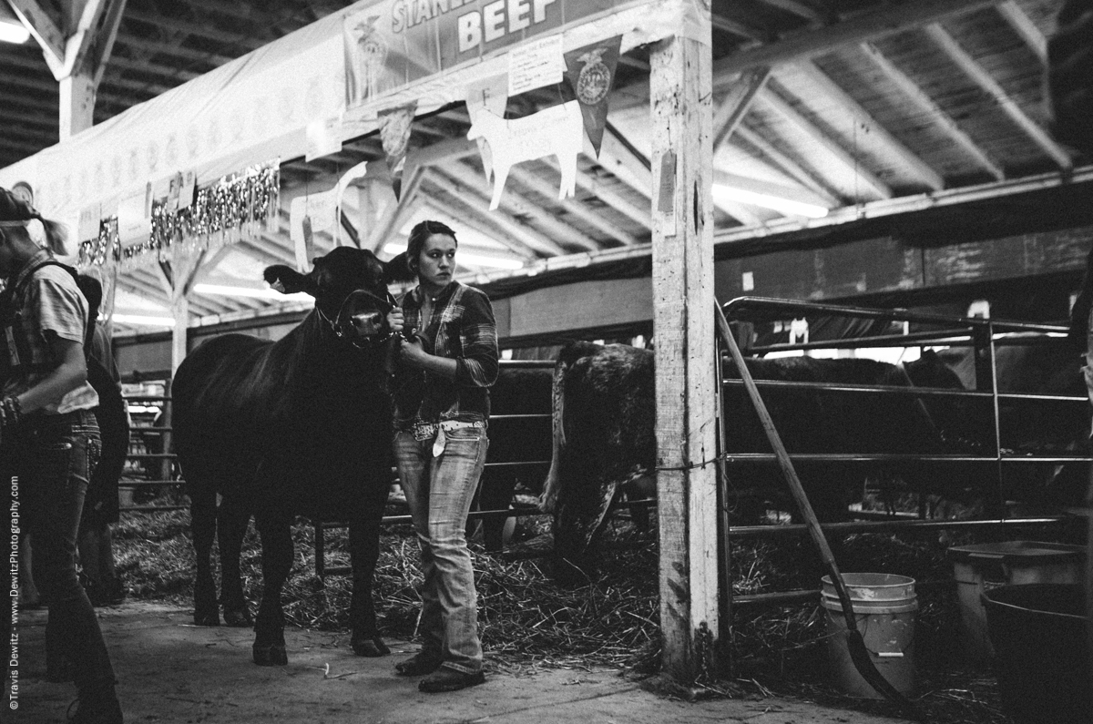 Northern Wisconsin State Fair Cattle Auction-7622