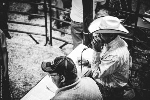 Northern Wisconsin State Fair Cattle Auction-7792