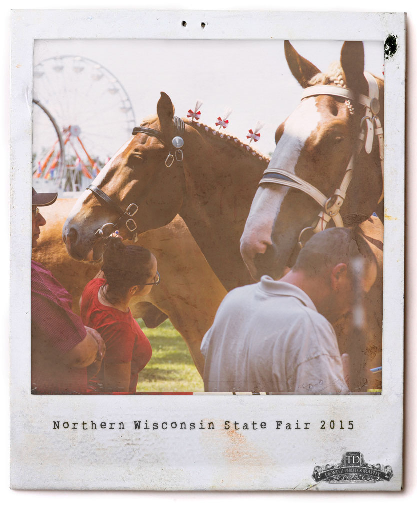 Wisconsin State Fair Polaroid Draft Horse Judging Dewitz Photography