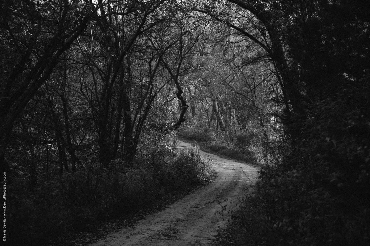 Dirt road up Sand Hill.